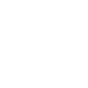 SSmart Energy