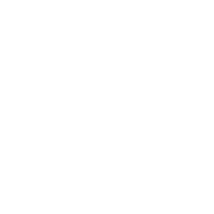 Smart Governance